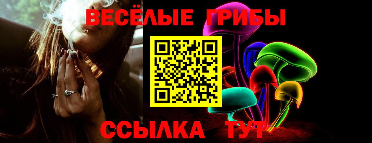 Псилоцибиновые грибы Cubensis  Вход с VPN  Копейск 